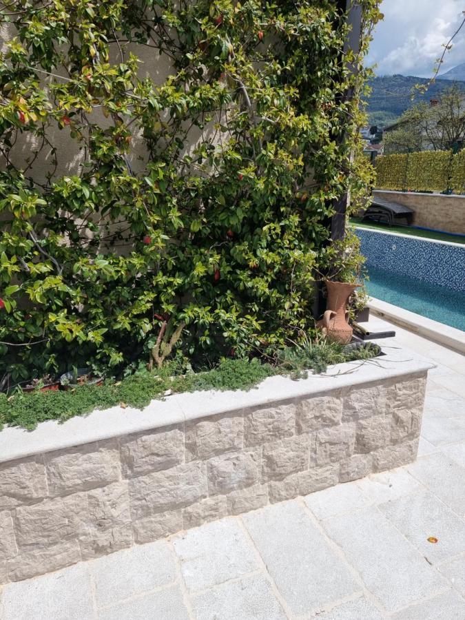 Villa With Pool & Garden Apartment 1 Ognjen Tivat Eksteriør bilde